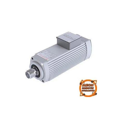 Forza 0.75 Kw 18000 Devir Spindle Motor