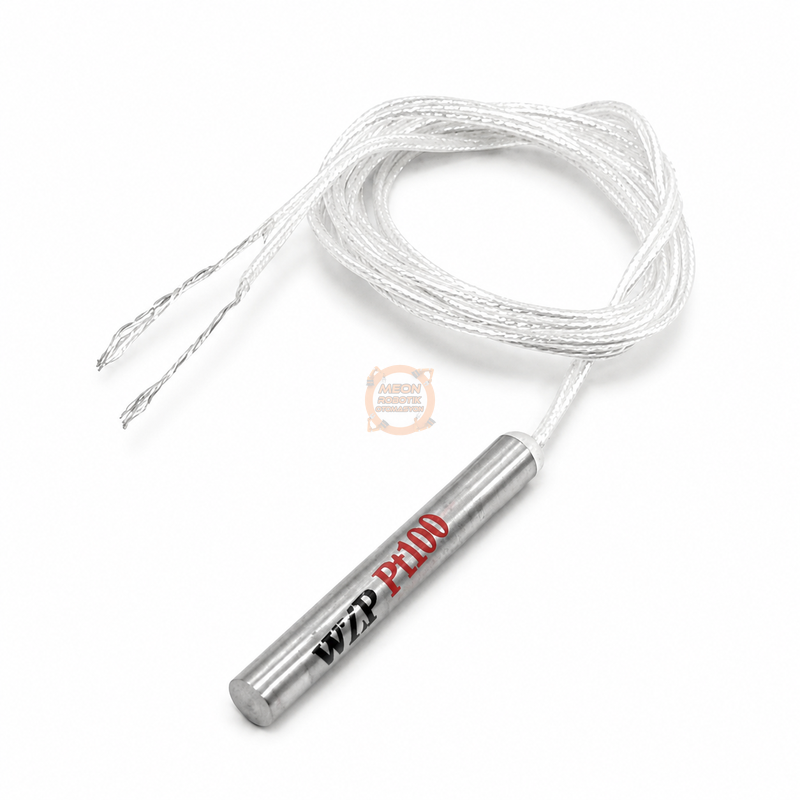 PT100 Sensör 2 Telli WZP-PT100 50 cm Dalgıç Tip Sıcaklık Probu